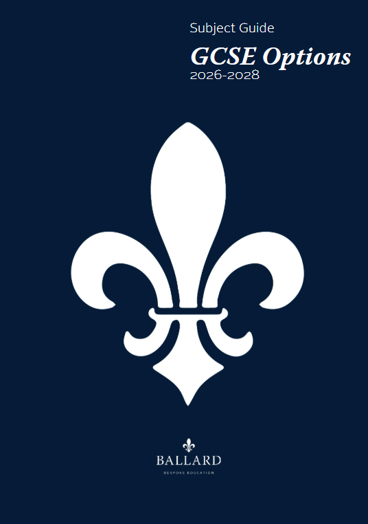 GCSE Options